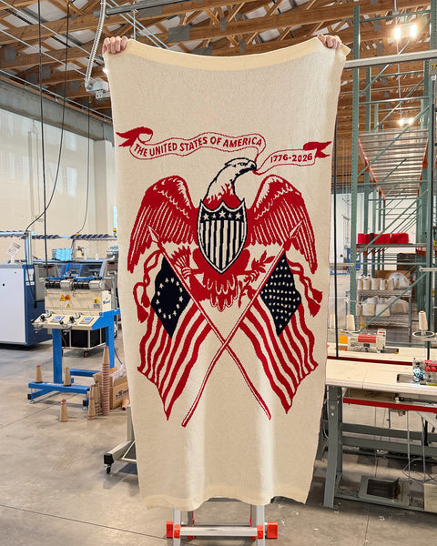 Eagle Blanket